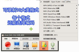 錄屏小將OCam 全能錄屏截圖錄音，專業(yè)攝影服務(wù)一應(yīng)俱全